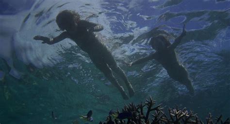 In the Victorian period, two children are shipwrecked on a tropical island in the South Pacific. With no adults to guide them, the two make a simple life together, unaware that sexual maturity will eventually intervene. The Blue Lagoon (1980) photos, including production stills, premiere photos and other event photos, publicity photos, behind ...